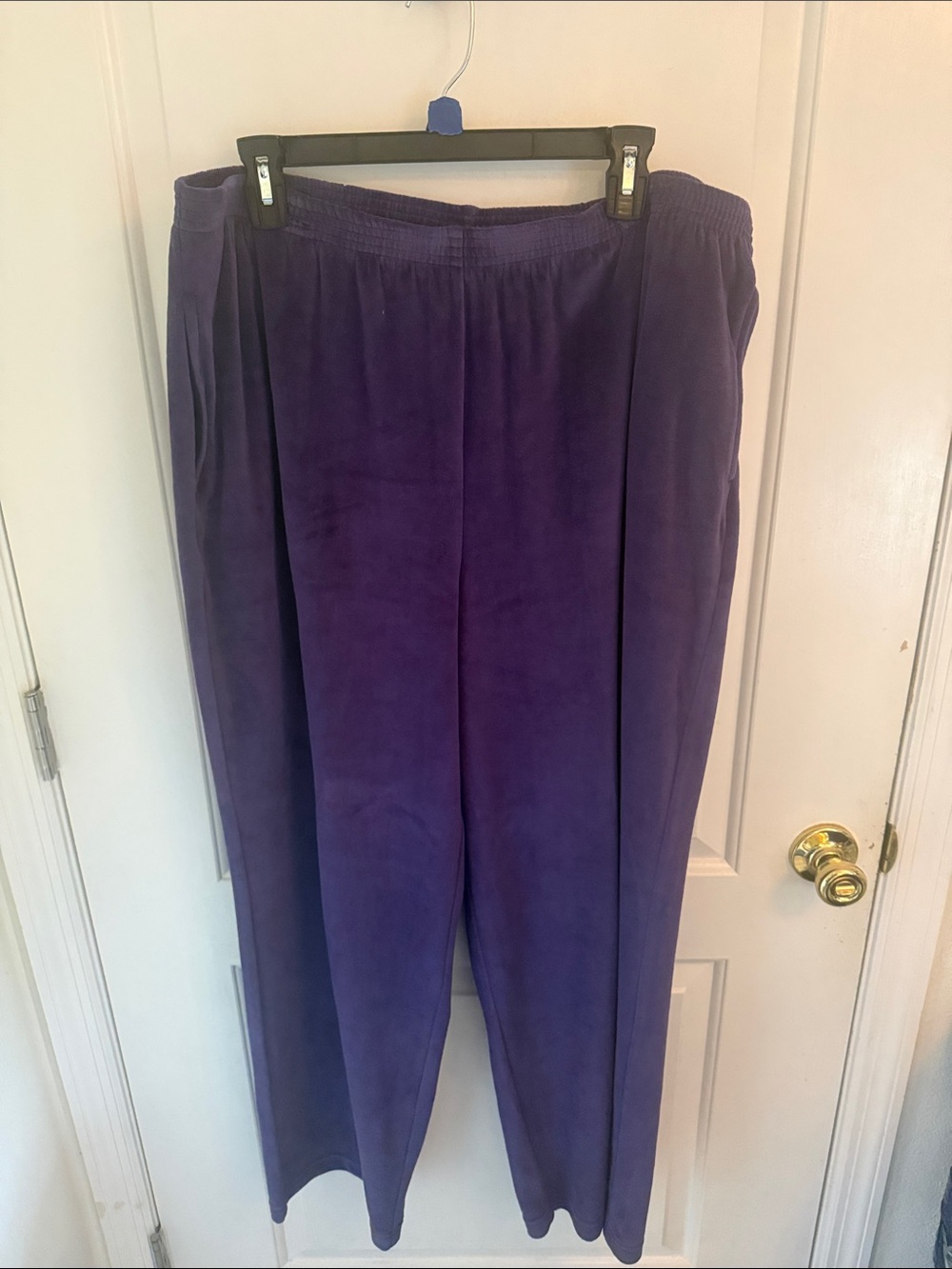 Alfred Dunner Deep Purple Wide-Leg Pull-On Pants 2X